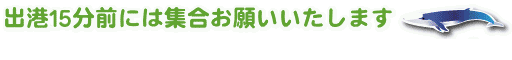 出港15分前には集合お願いいたします