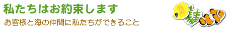 私たちはお約束します-お客様と海の仲間に私たちができること