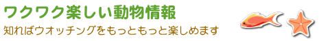 ワクワク楽しい動物情報-知ればウオッチングをもっともっと楽しめます
